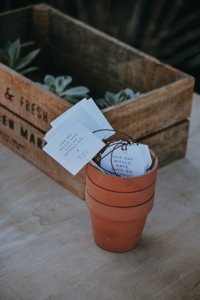 Gastgeschenk Pflanze Sukkulent Hochzeit Hochzeitsplaner